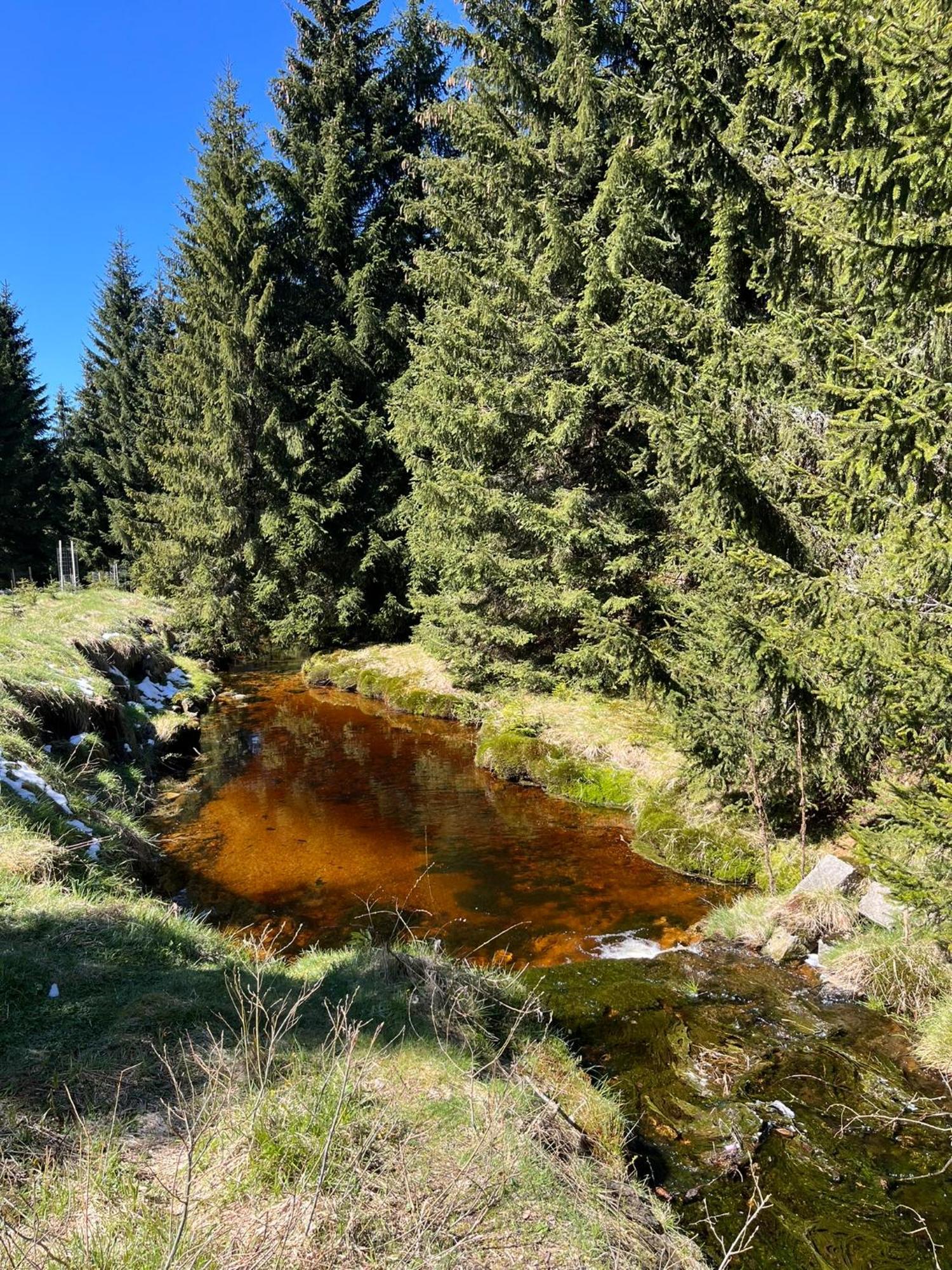 Chalupa U Smrku Horní Polubný エクステリア 写真